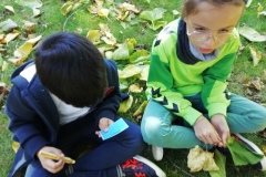 ecole-dehors-4